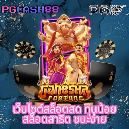 สปินฟรีล่าสุด